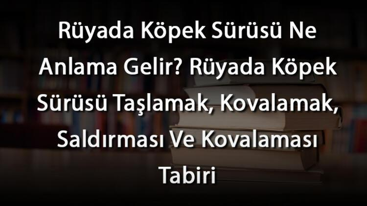 Rüyada Köpek Sürüsü Ne Anlama Gelir? Rüyada Köpek Sürüsü Taşlamak ilgili Rüyada Kaz Kovalaması Ne Anlama Gelir