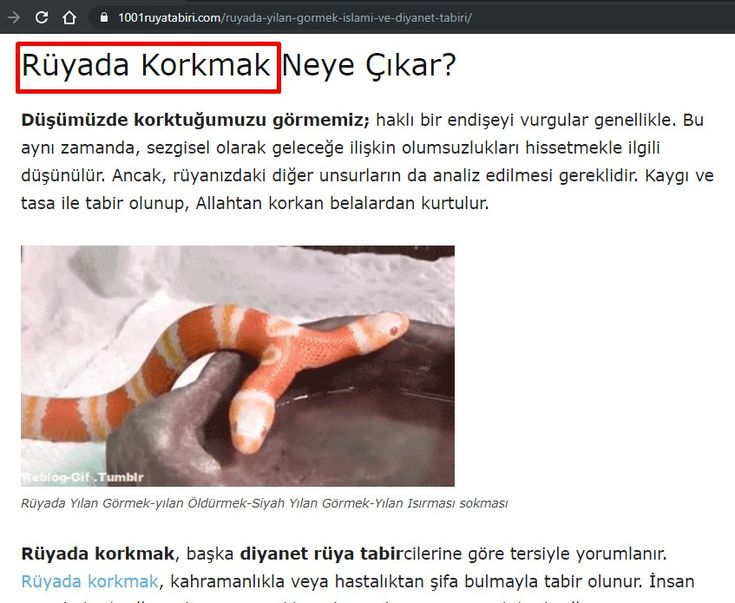 Rüyada Korkmak Ne Demek? | Rüya ilgili Rüyada Köpekten Korkmak Ne Anlama Geliyor