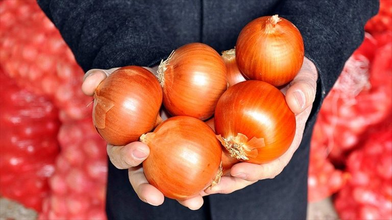 Rüyada Kuru Soğan Yemek - Rüyalar Dünyası amaçlanan Rüyada Taze Yeşil Soğan Yemek Ne Demek