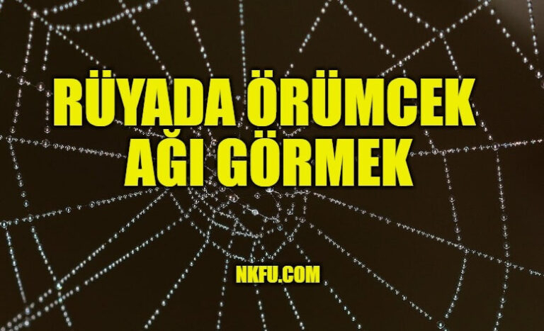 Rüyada Örümcek Ağı Görmek Ne Anlama Gelir? Örümcek Ağı Temizlemek Nedir? fiçin Rüyada Örümcek Görüp Korkmak Ne Anlama Geliyor