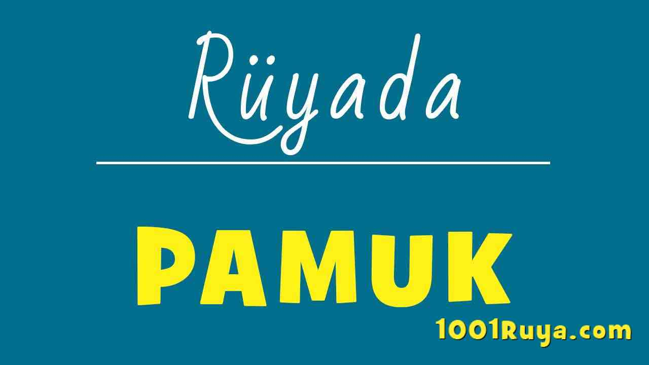 Rüyada Pamuk Görmek, Pamuk Toplamak, Pamuk Tarlası - 1001Ruya ilgili Rüyada Süpürge Görmek Diyanet