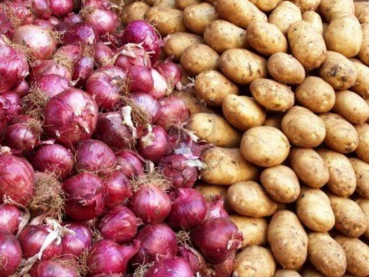 Rüyada Patates Soğan Görmek - Ruyandagor amaçlanan Rüyada Tarlada Yeşil Soğan Görmek