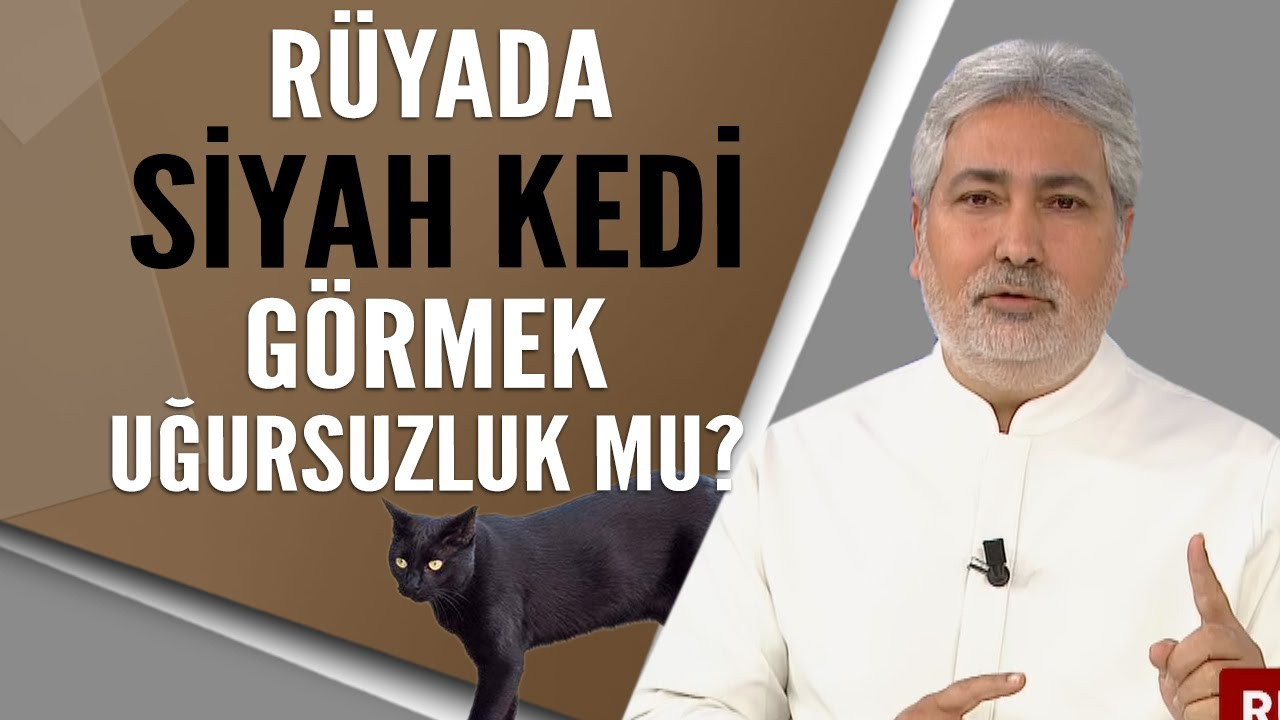 Rüyada Siyah Kedi Görmek Uğursuzluk Mu? - Youtube fiçin Rüyada Siyah Karga Görmek Ne Anlama Gelir