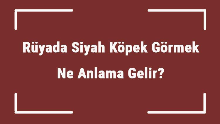 Rüyada Siyah Köpek Görmek Ne Anlama Gelir? Rüyada Siyah Köpek Isırması tamamen Rüyada Saldırgan Siyah Köpek Görmek Ne Anlama Gelir