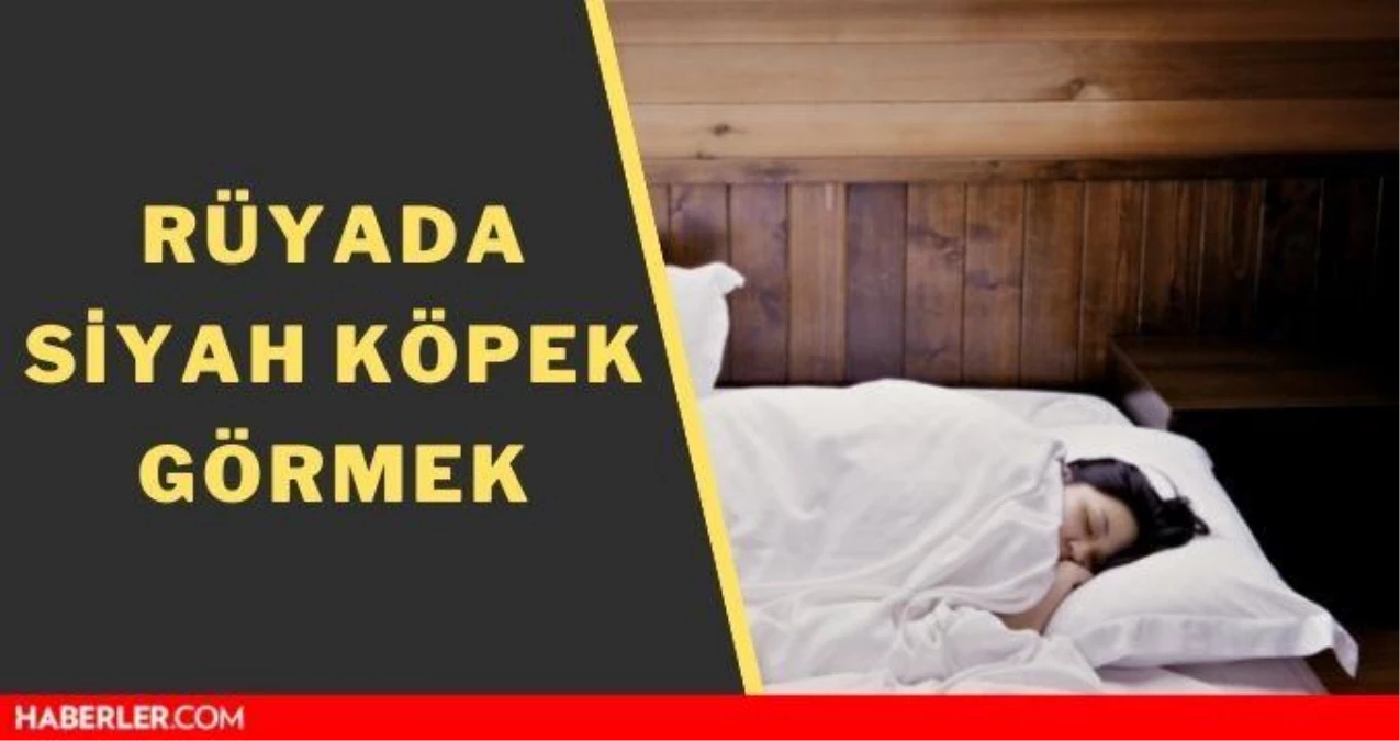 Rüyada Siyah Köpekten Kaçmak Ne Demektir? Rüyada Siyah Köpek Görmek Ne fiçin Rüyada Köpek Saldırısından Kaçmak Ne Anlama Gelir