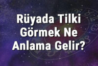 Rüyada Tilki Görmek Ne Anlama Gelir? Rüyada Tilki Kovalamak Ve Öldürmek ilgili Rüyada Tavla Zarı Görmek