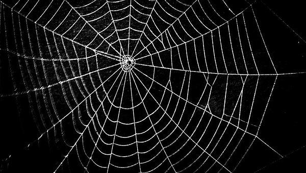 Kötü Niyetli İnsanlara Dikkat! Rüyada Örümcek Görmek Ne Anlama Gelir? ile Yatakta Örümcek Görmek Ne Demek