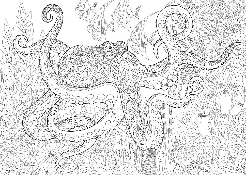 Realistic Octopus Coloring Page - Free Printable Templates