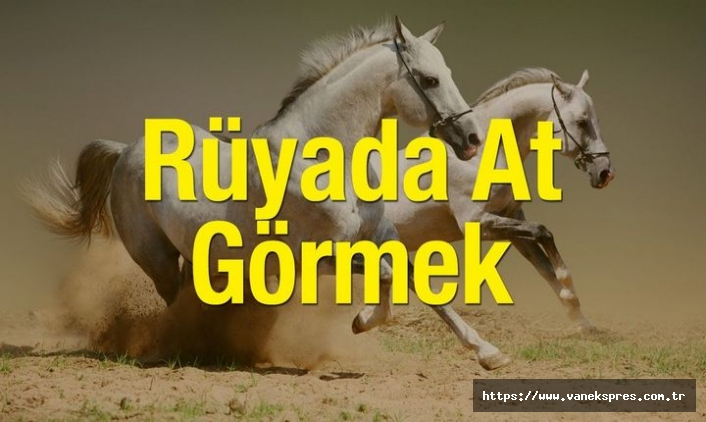 Rüyada At Binmek ilgili Rüyada Otobüse Binmek Ve İnmek