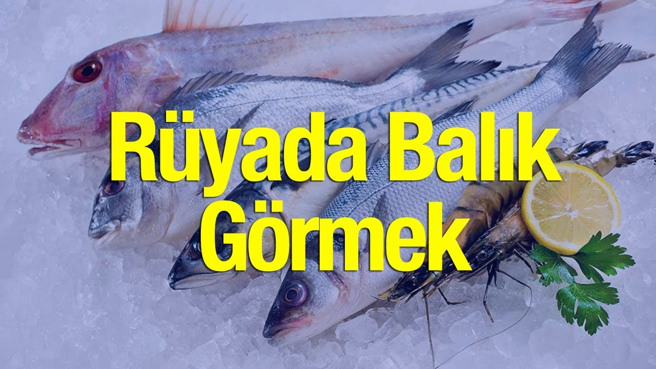 Rüyada Balık Görmek İyiye Mi Kötüye Mi İşaret? Rüyada Balık Temizlemek tamamen Rüyada Vasiyet Mektubu Görmek