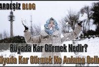 Rüyada Kar Görmek Nedir? Rüyada Kar Görmek Ne Anlama Gelir? ile Yaz Ayında Rüyada Kar Yağdığını Görmek Ne Anlama Gelir