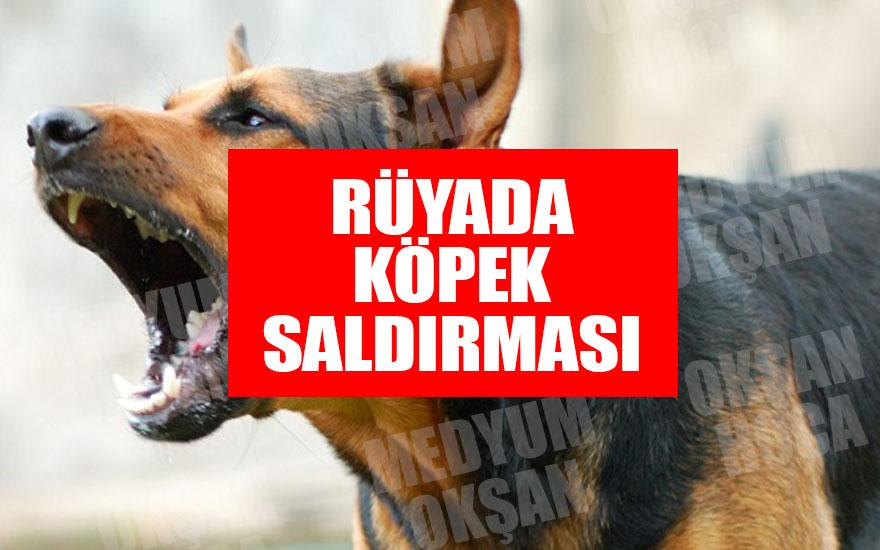 Rüyada Köpek Saldırması Tabiri Nasıldır? Rüyada Köpek Nedir? amaçlanan Rüyada Köpek Görmek Ne Anlama Gelir Imam Nablusi