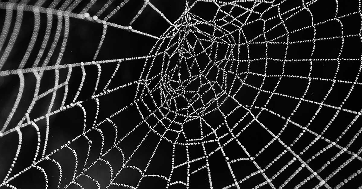 Rüyada Örümcek Ağı Görmek Ne Anlama Gelir? - Diyadinnet Rüya Tabirleri tamamen Yatakta Örümcek Görmek Ne Demek