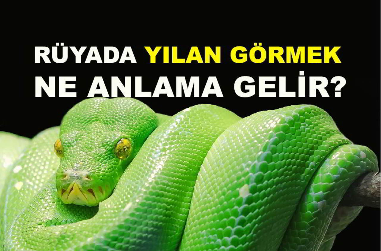 Rüyada Yılan Görmek Ne Anlama Gelir? | Rüya Tabiri ile Rüyada Zararsız Yılan Görmek