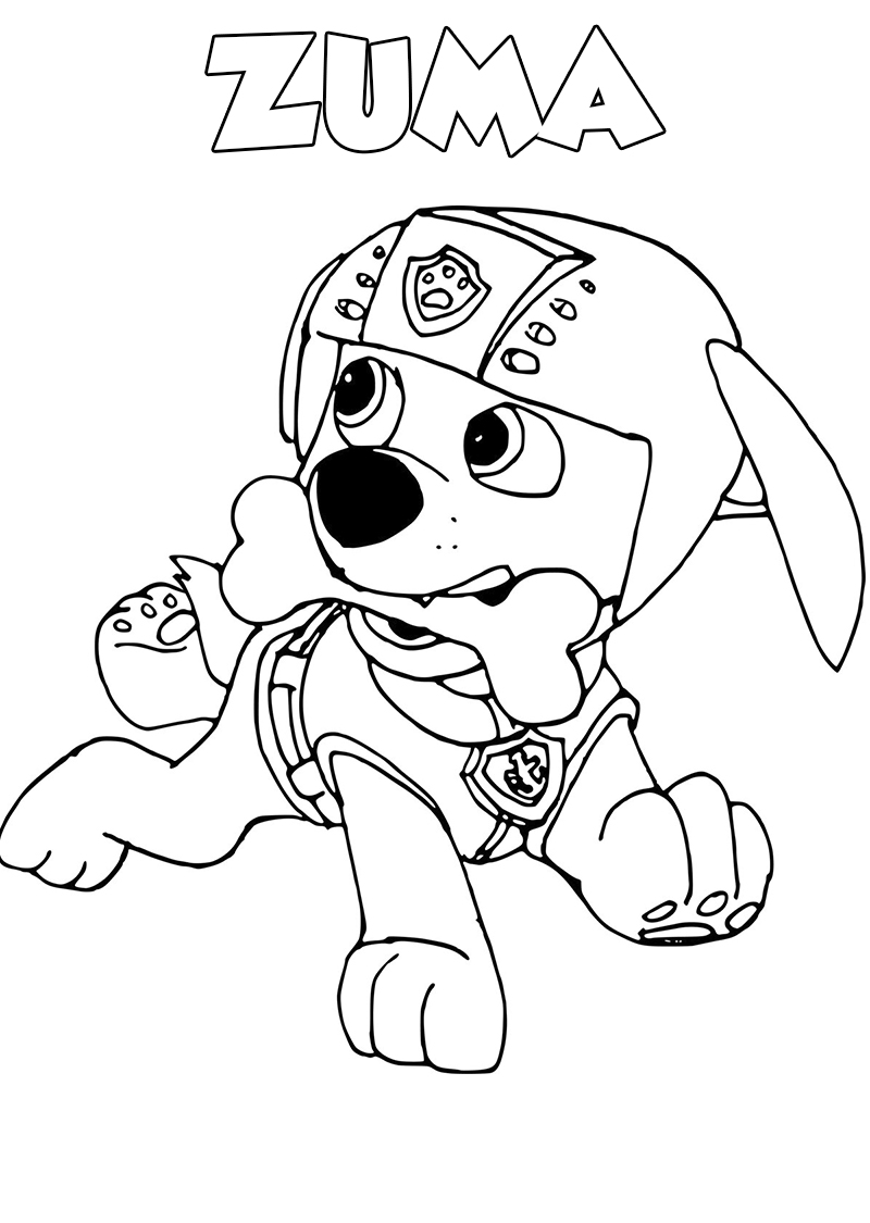 Zuma Rocky Paw Patrol Ausmalbilder / Paw Patrol Mighty Pups Coloring