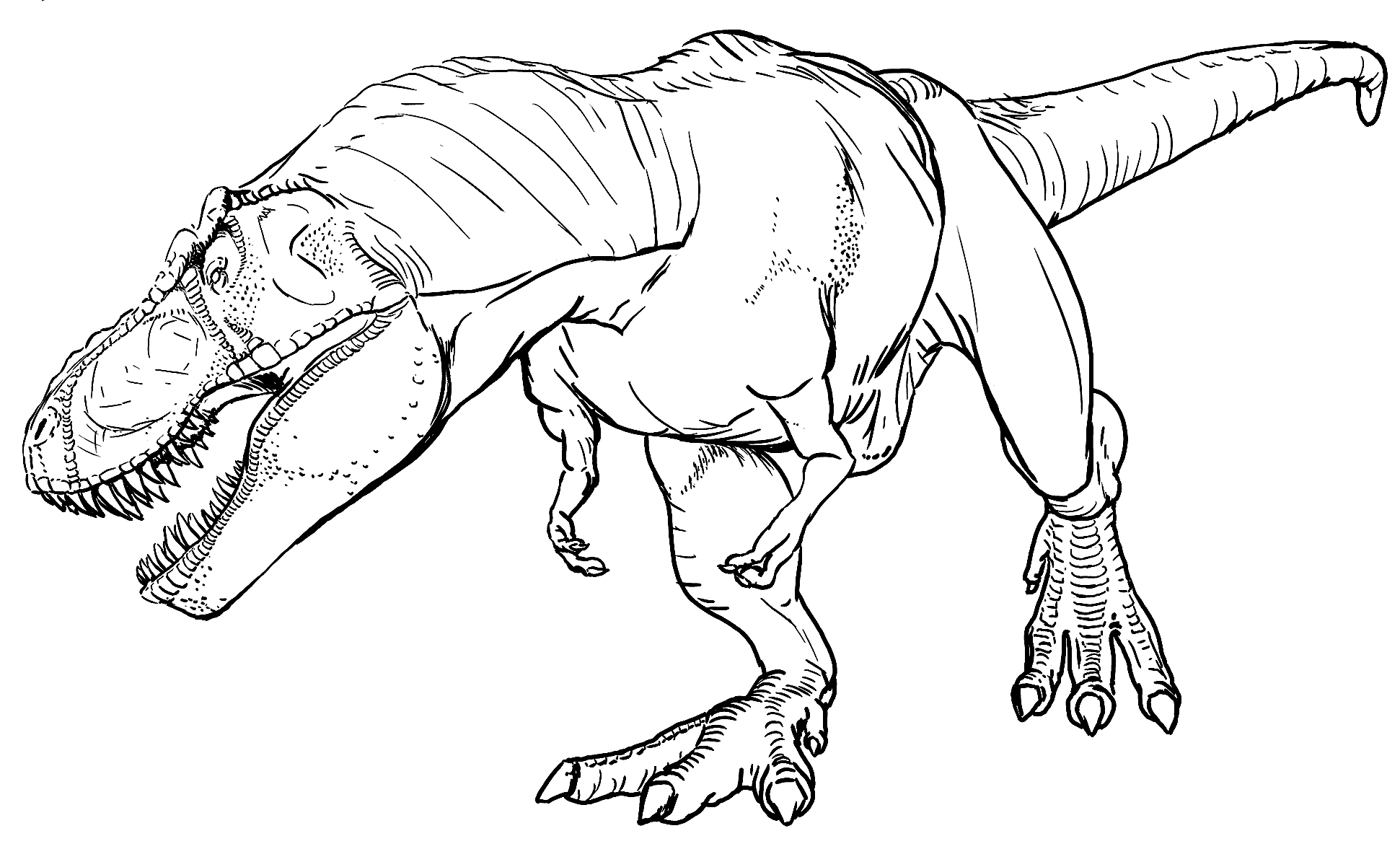 Pin by PSKPedia.com on Dinosaur Coloring Pages | Dinosaur coloring