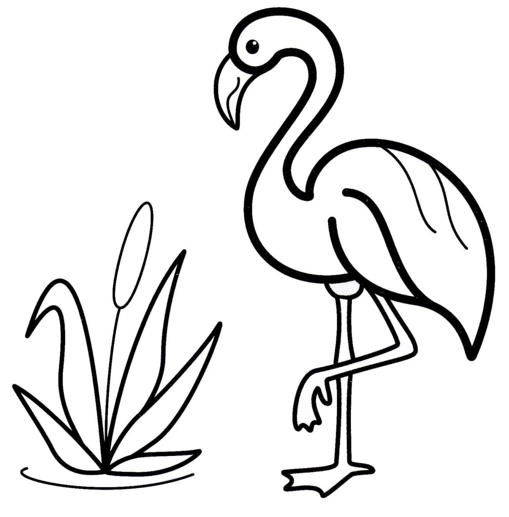 Flamingo coloring pages - 100 Printable coloring pages