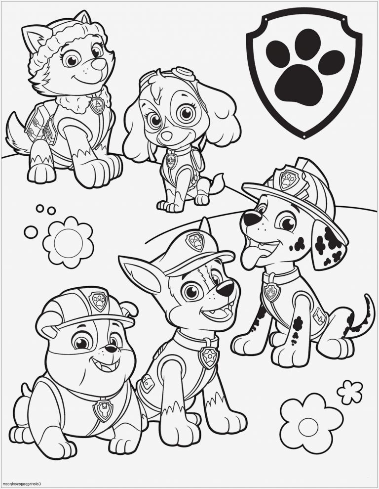 Paw Patrol Malvorlagen 473 Malvorlage Paw Patrol