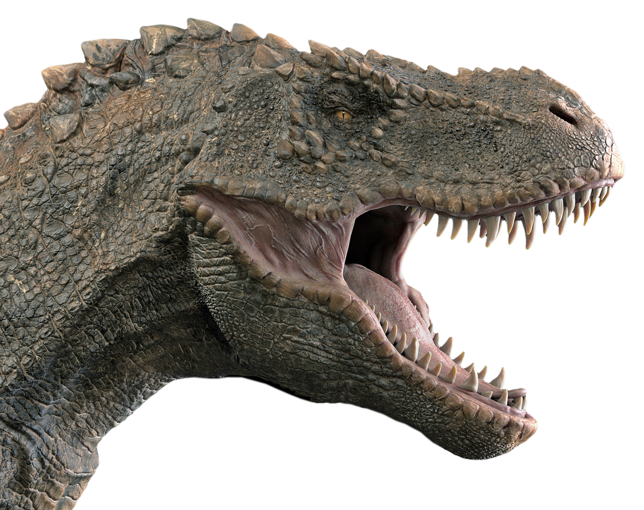 Dinosaurier Tyrannosaurus - Kostenloses Foto auf Pixabay