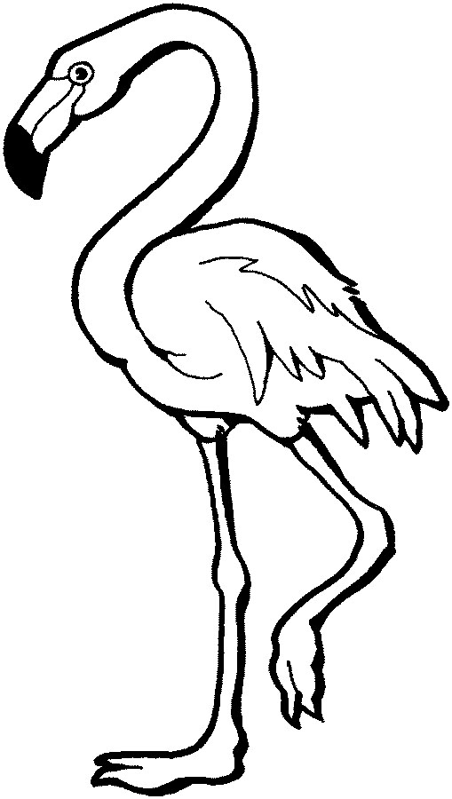 Flamingo Coloring Pages - Best Coloring Pages For Kids