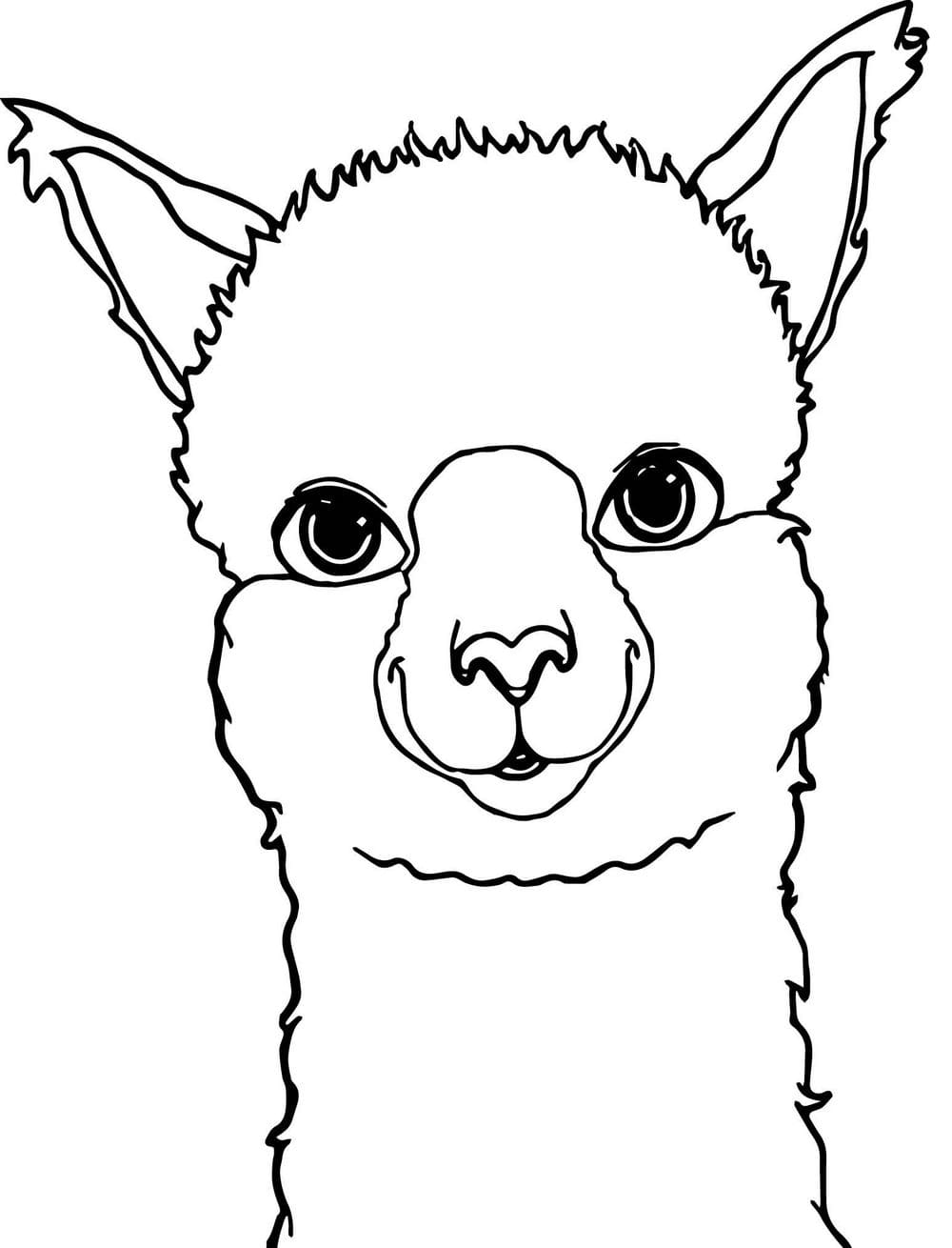 Llama Coloring Pages - 100 Printable coloring pages