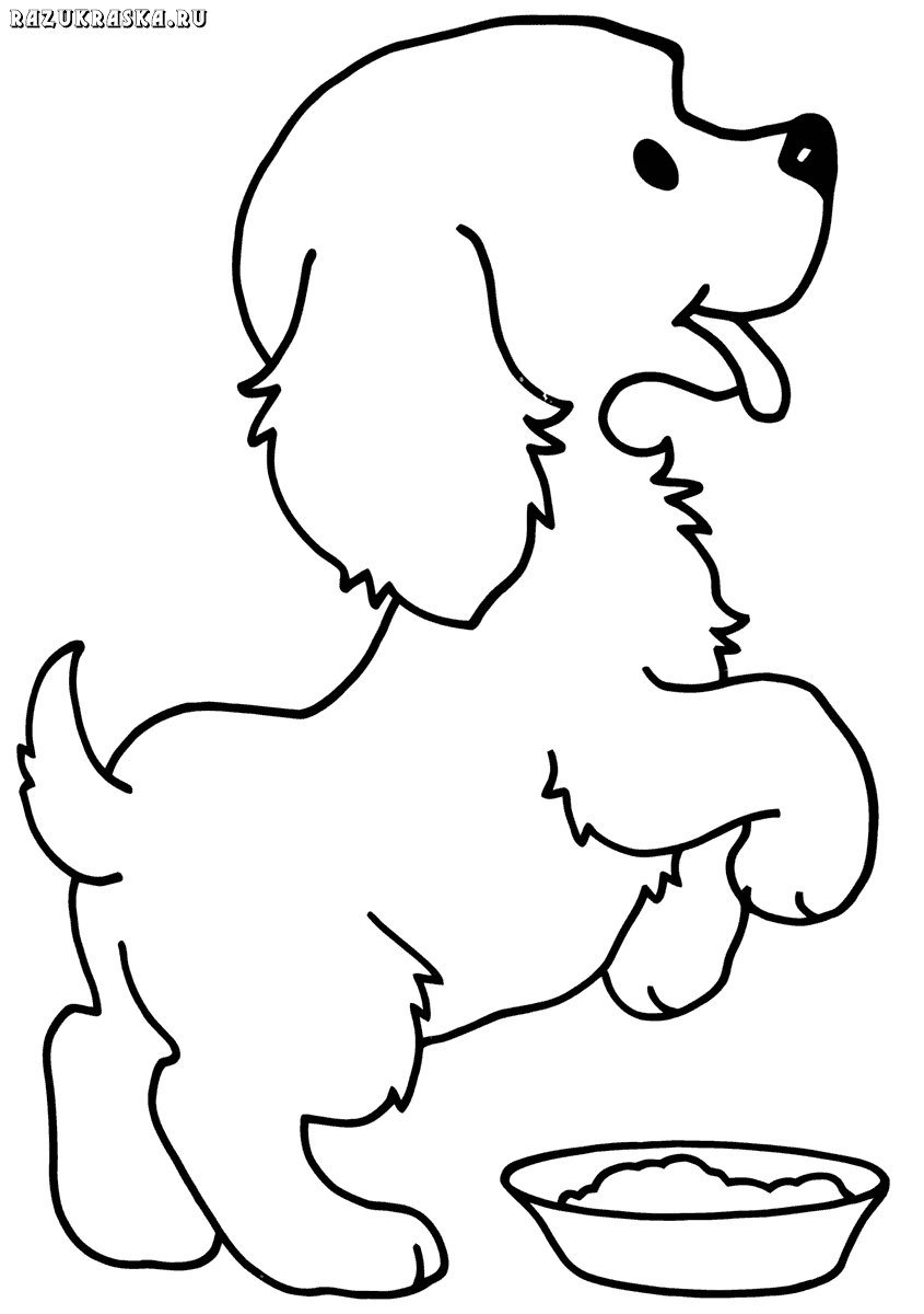 ausmalbilder-hunde-dekoking-com-1 | Animal coloring pages, Puppy