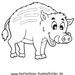 Ausmalbilder Wildschwein - Tiere zum ausmalen | Malvorlagen Schweine