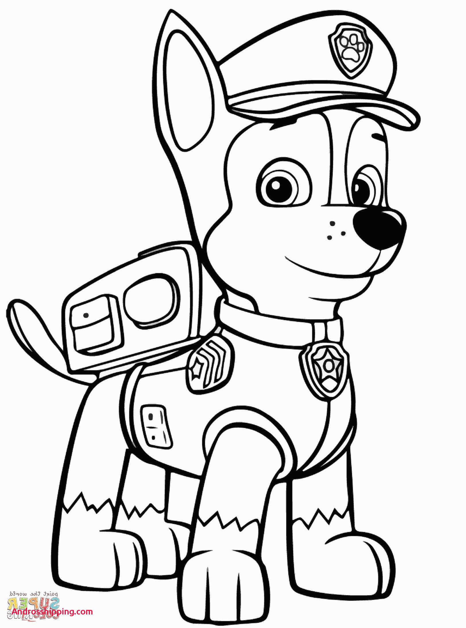 Beste Paw Patrol Rocky Ausmalbilder Beste Ideen Und Inspirationen | My