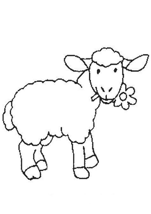 Ausmalbilder Schaf 27 | Ausmalbilder Tiere | Embroidery designs, Sheep