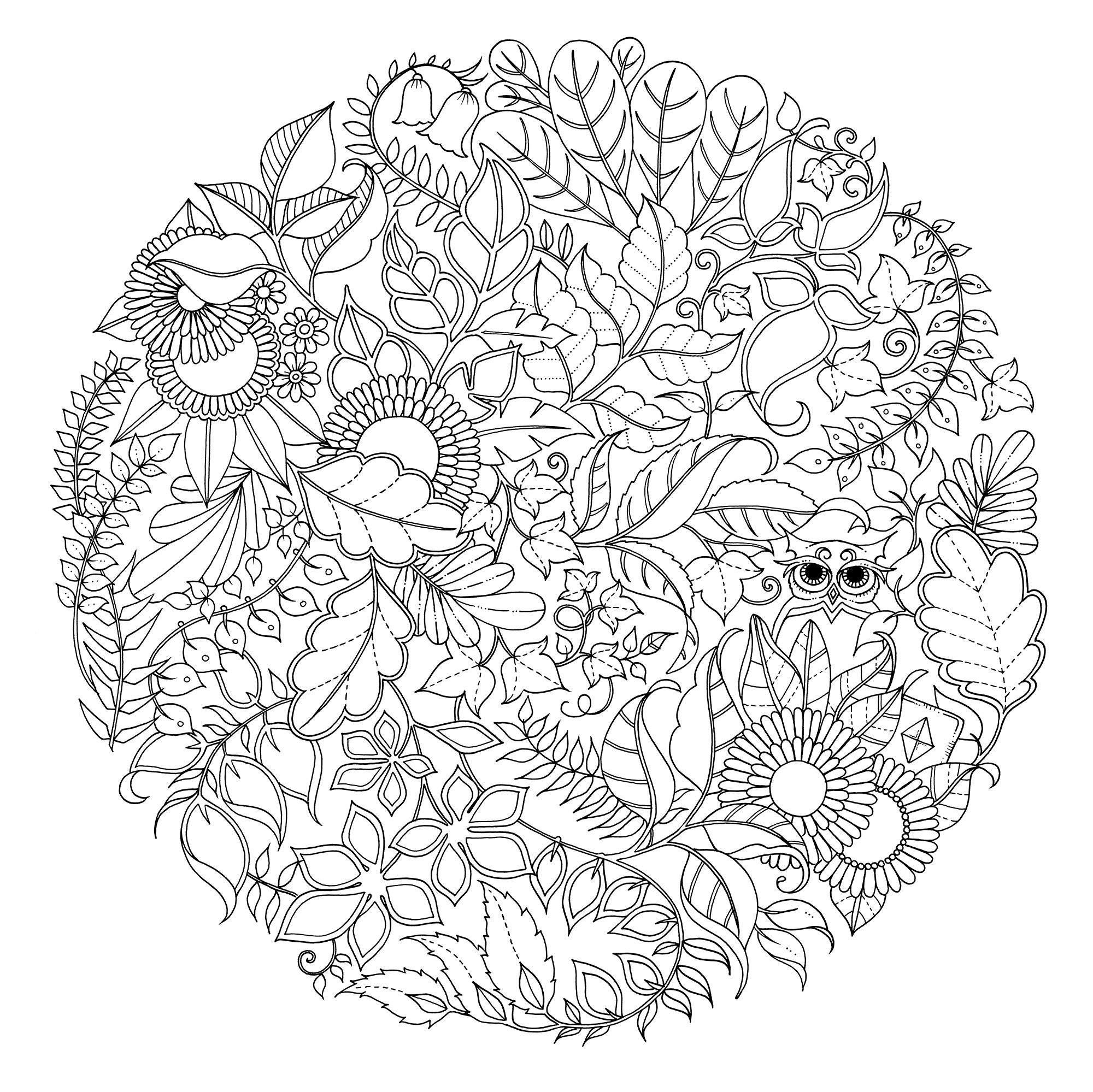 Wald-mandala | Pattern coloring pages, Coloring pages, Johanna basford