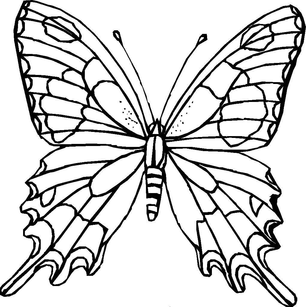 schablone - Buscar con Google | Butterfly coloring page, Flower